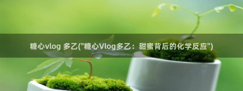 vlog糖心官方入口：糖心vlog 多乙(\