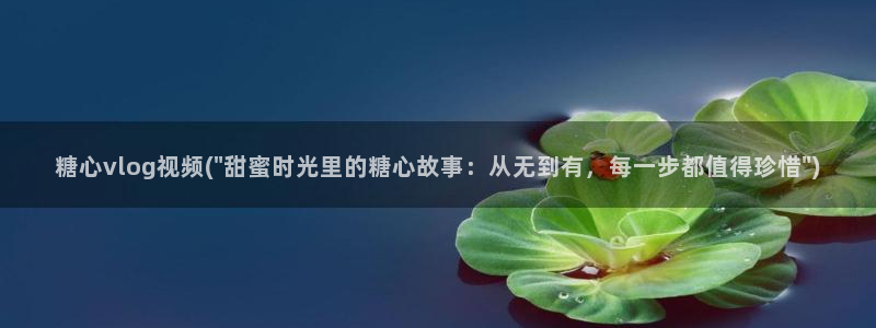 糖心Vlog国产网站