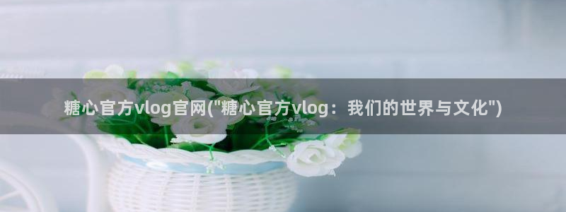 糖心vlog苏苏：糖心官方vlog官网(\