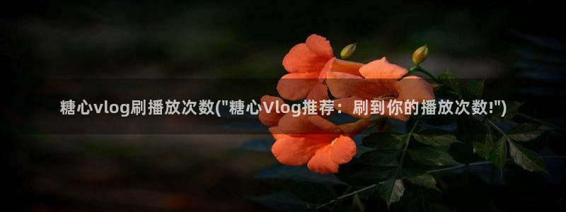 心糖vlog网址
