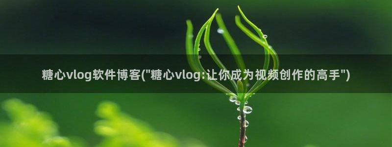糖心vlog安安介绍：糖心vlog软件博客(\