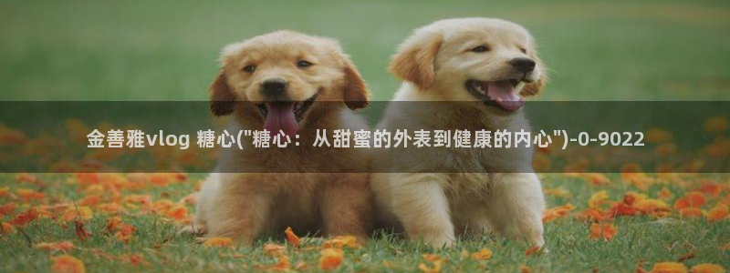 糖心虾酱的vlog：金善雅vlog 糖心(\