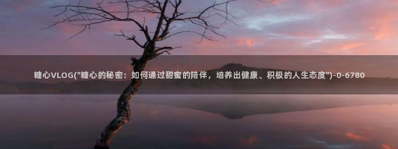 糖心vlog骗：糖心VLOG(\