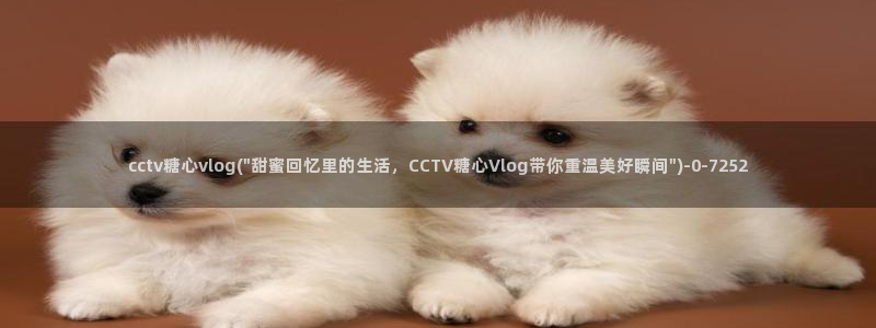 糖vlog心