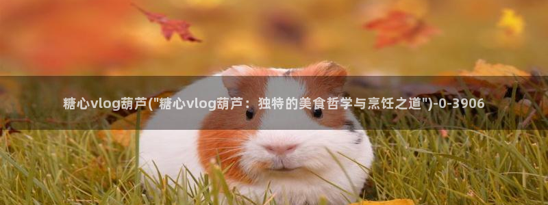 糖心vlog日本演员：糖心vlog葫芦(\