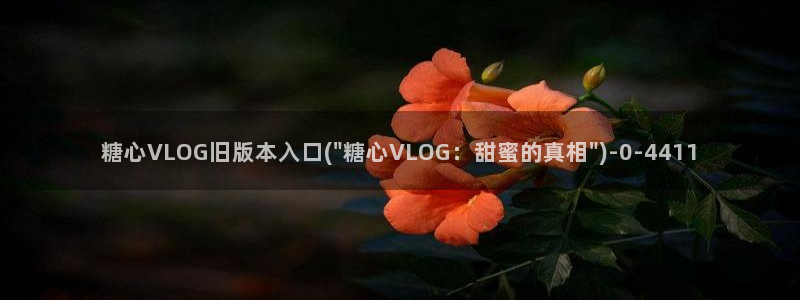 糖心VLOG传媒还有：糖心VLOG旧版本入口(\