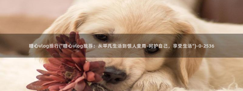 糖心txvlog.com：糖心vlog排行(\