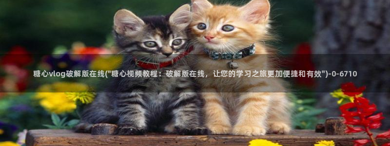 成人糖心vlog下载
