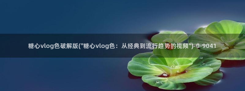 糖心vlog免费进入网址