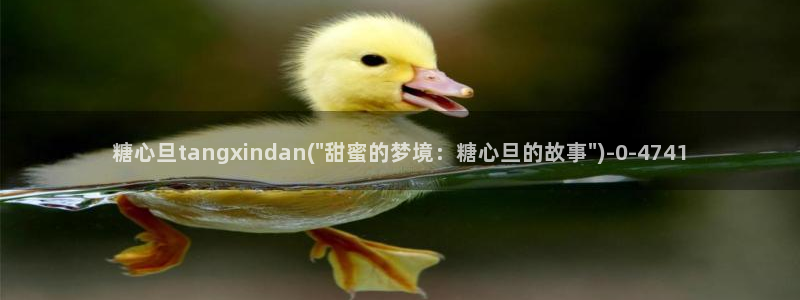 糖心vlog免费账号