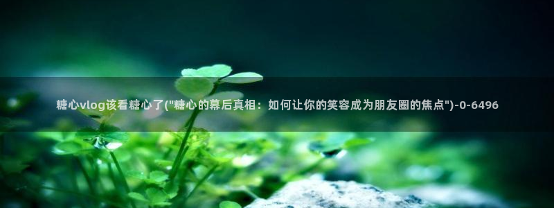 糖心vlog后入