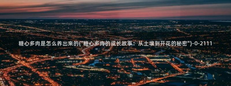 糖心vlogvlog