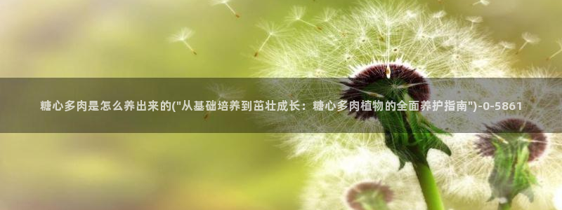 糖心vlog视频app下载