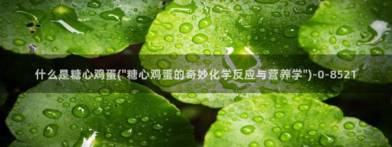 糖心vlog官网在线入口