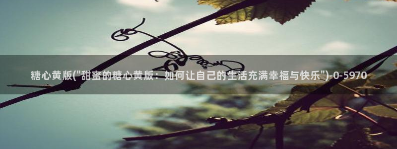 心糖vlog免费版在线观看免费