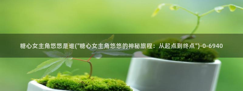 糖心vlog不见星空