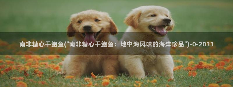 糖心vlog.com：南非糖心干鲍鱼(\