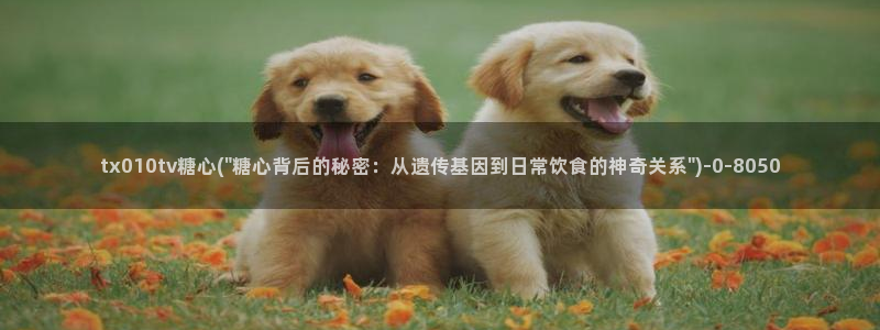 糖心vlog up主：tx010tv糖心(\