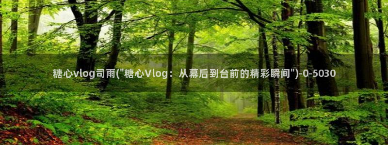 91糖心vlog下载：糖心vlog司雨(\